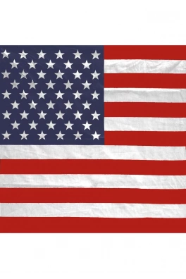 Bandana Stars/Stripes 1
