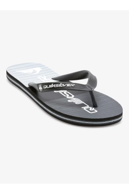 Pánské žabky Quiksilver MOLOKAI STRIPE