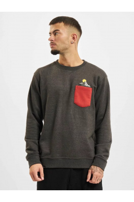 Pullover Fitzroy in grey