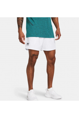 Pánské kraťasy Essential Volley Short